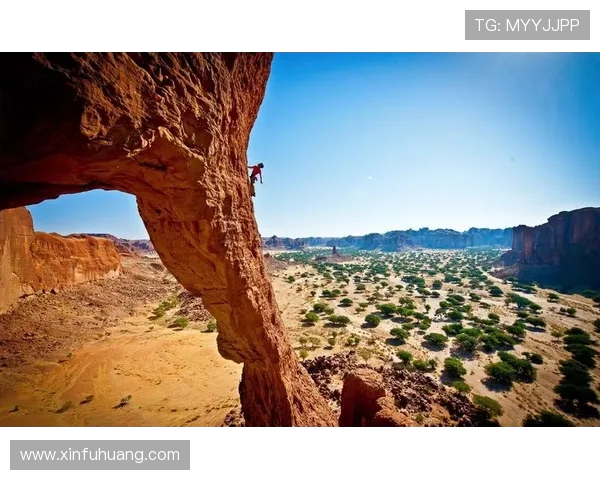 南京攀岩队在极限运动联赛中的速度表现分析与点评