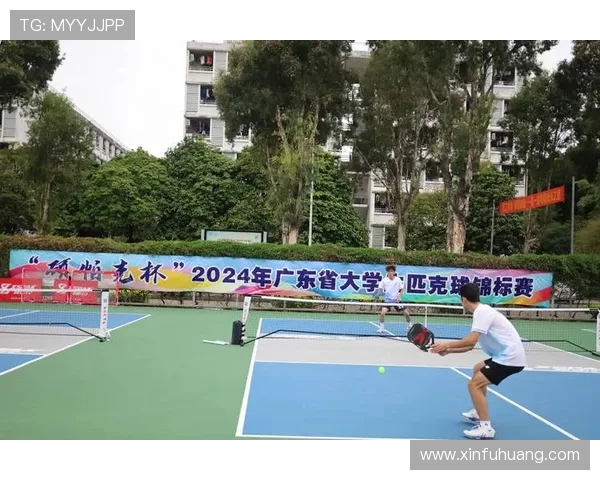 南京羽毛球队进攻策略深度解析与战术创新探索 南京羽毛球队进攻策略深度解析与战术创新探索