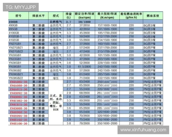 重庆排球队快攻战术解析与战绩提升的深度探讨