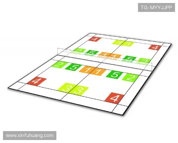 重庆羽毛球队的战术调整与成绩波动分析