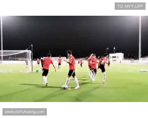 杭州羽毛球队在杯赛中的灵活性表现分析与战术探讨